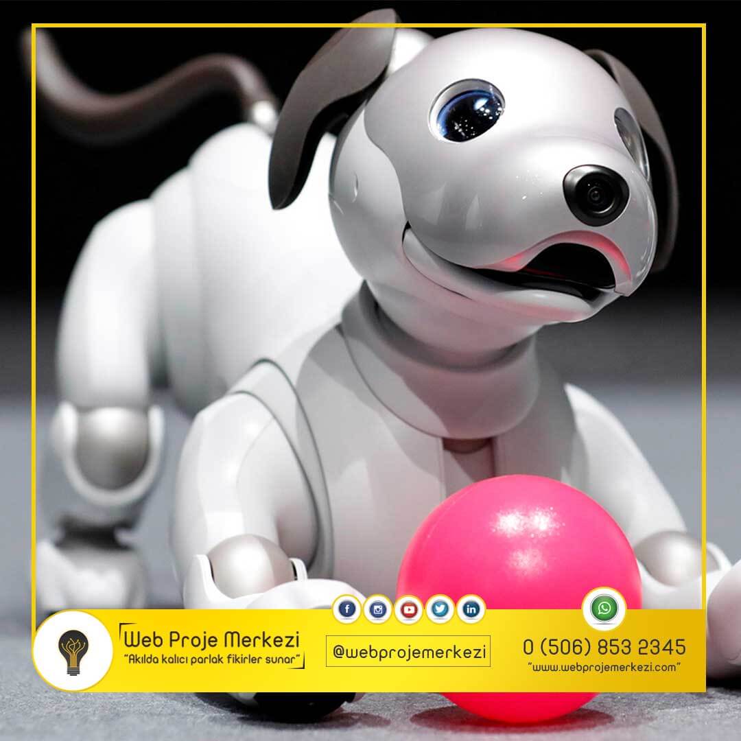 - yapay zeka aibo - 2.899 Dolar’dan Yapay Zekalı Köpek